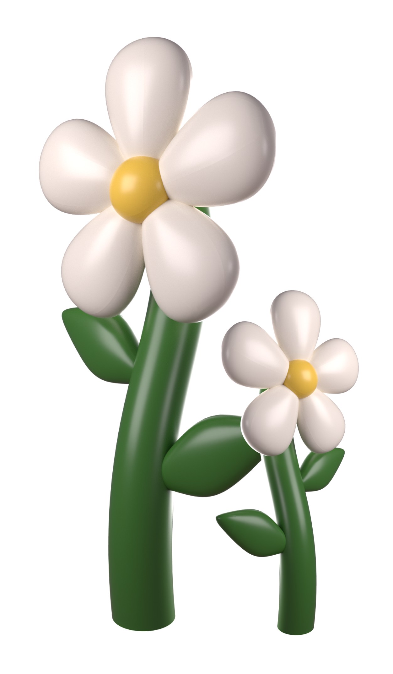 3D model of daisies